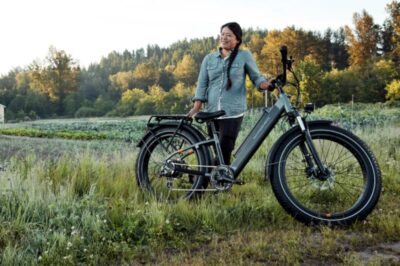RadRover 6 Plus Unique Pedal-Assist System Review & Features