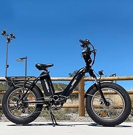 Haoqi Antelope vs Rad Power: Best Off-Road Bike Comparison