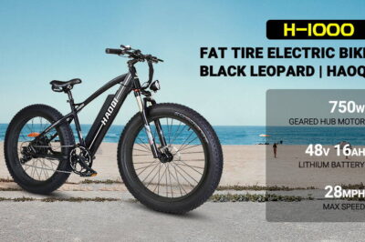 Advanced Tech Haoqi Black Leopard Style & Ride