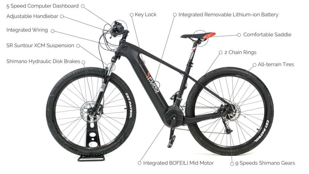 Electric Bike