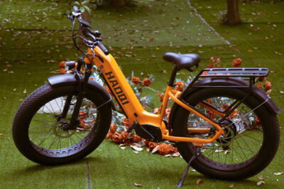Innovations & Developments in Haoqi Eagle Electric Bike